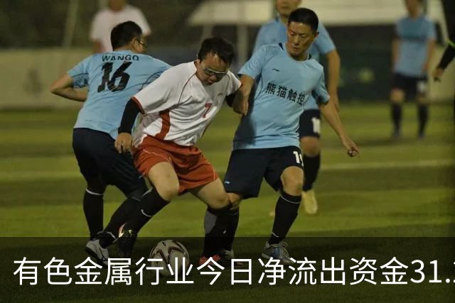 有色金属行业今日净流出资金31.22亿元，紫金矿业等6股净流出资金超亿元
