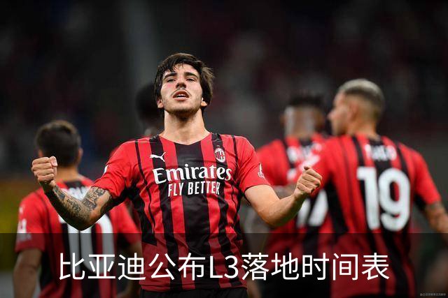 比亚迪公布L3落地时间表
